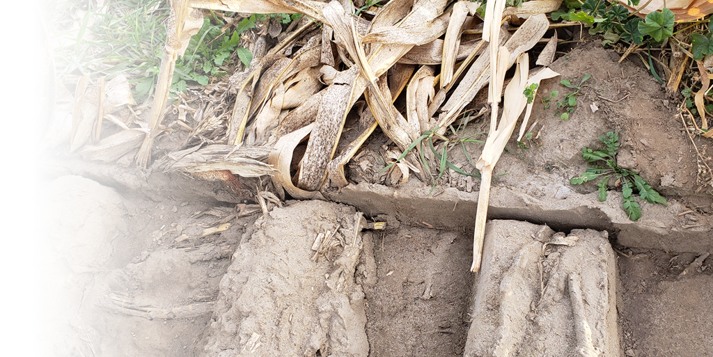 Pivot Wheel Call to Action