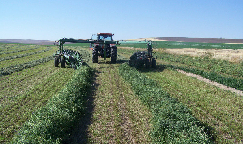 Circle C Equipment Hay Rake