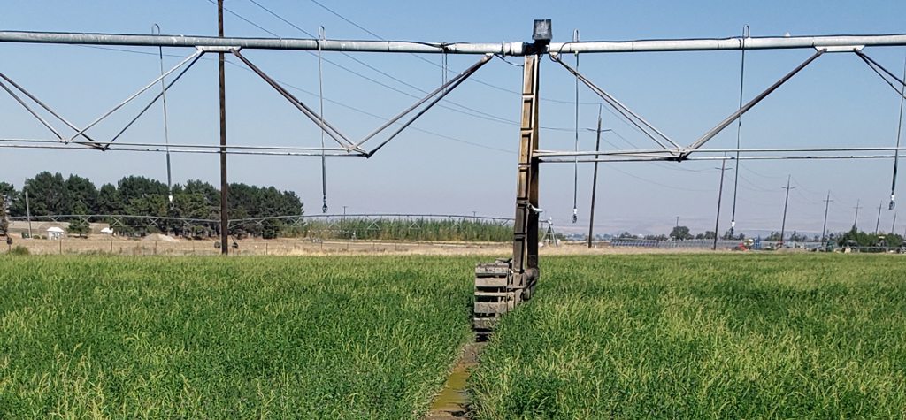 Irrigation Pivot Wheel in Field
